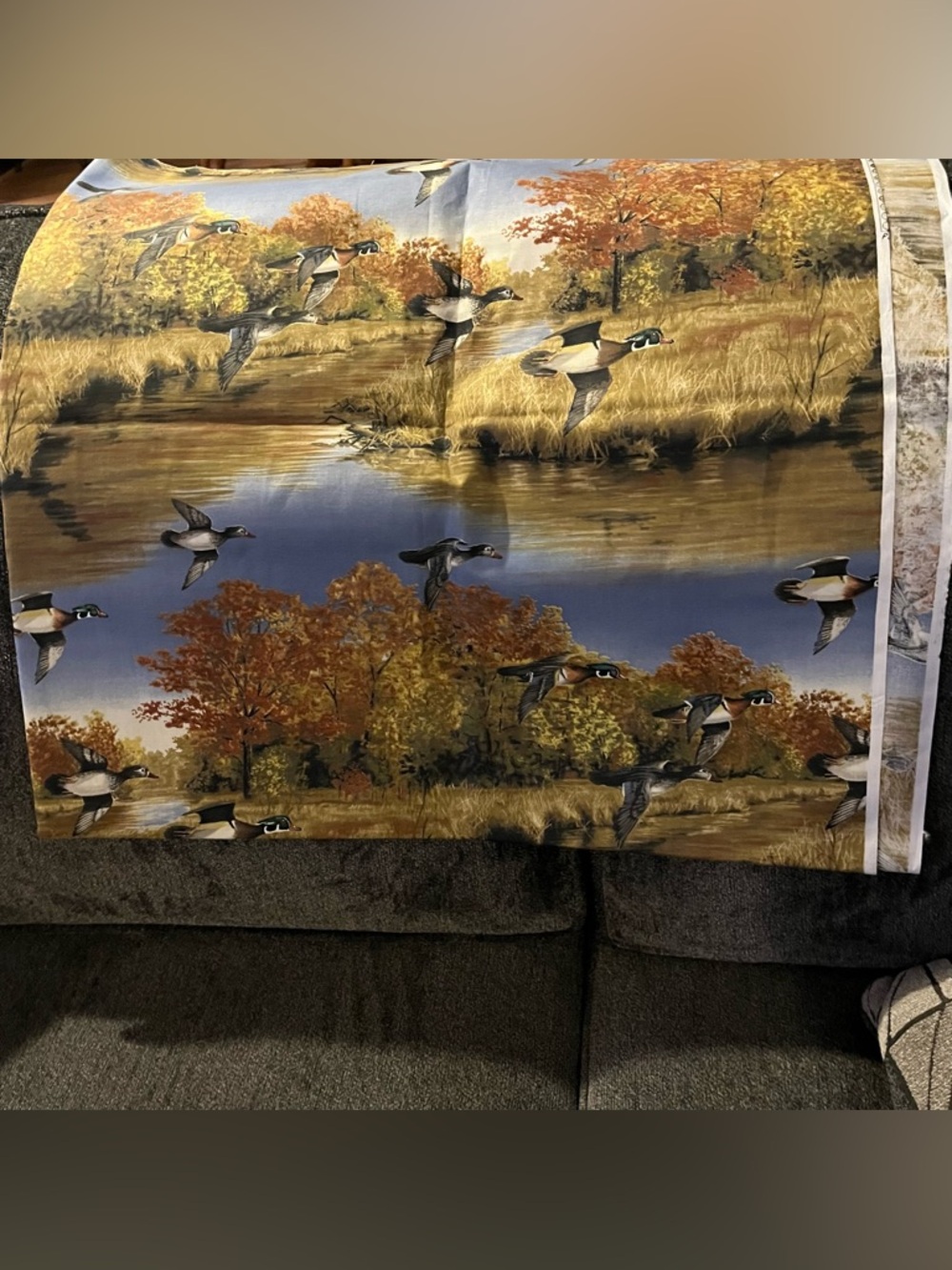 Duck fabric